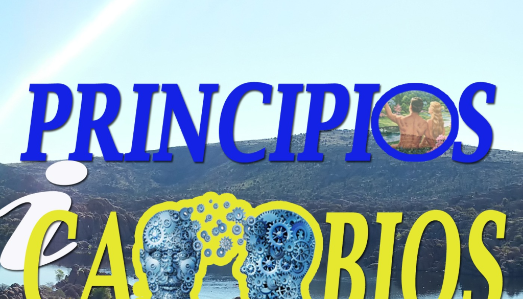 principios-y-cambios_thumbnail.png