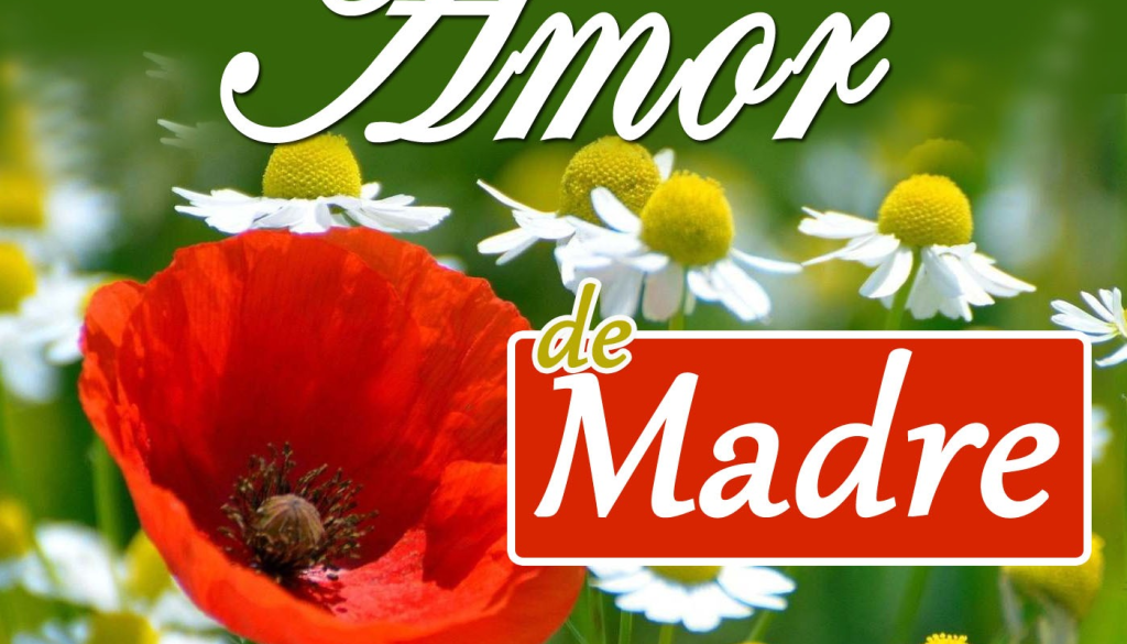 amor-de-madre_thumbnail.png