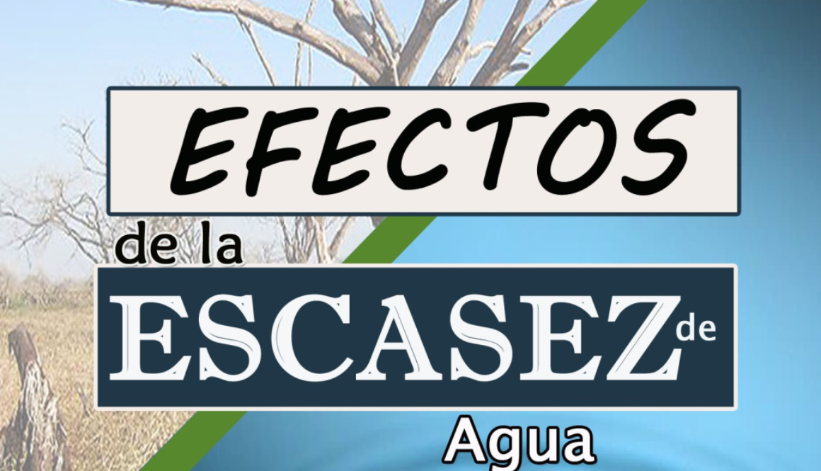 efectos-de-la-escasez-de-agua_thumbnail.png